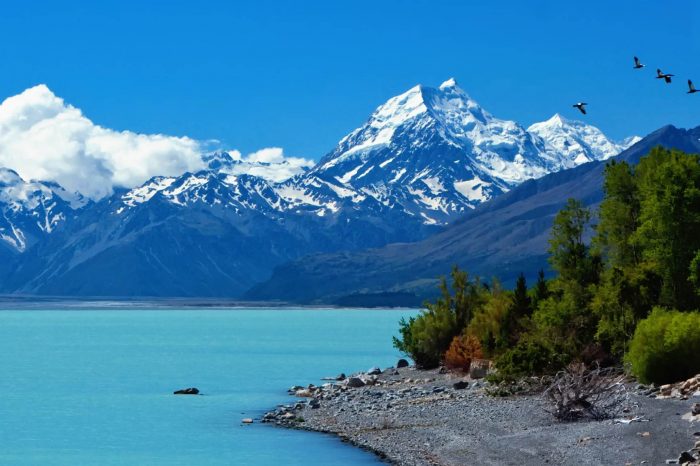 Nueva Zelanda: Becas Para Doctorado en Diversos Temas Gobierno de Nueva Zelanda