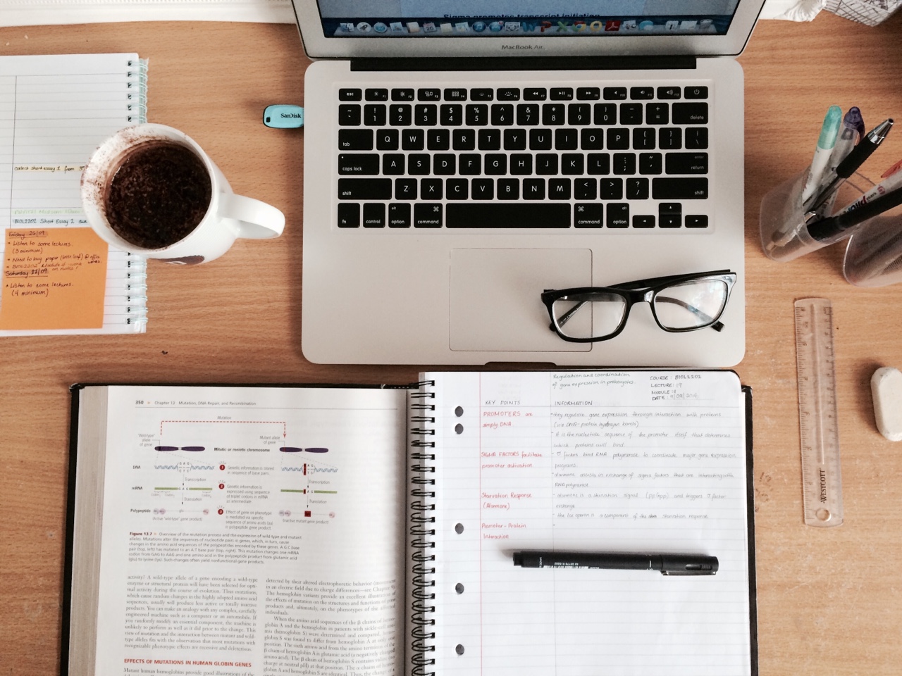 Curso Gratis Online «Introducción a las ondas gravitacionales» Universidad Nacional de Córdoba Internacional